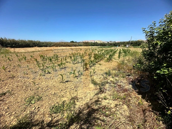 Terreno para Venda em Atouguia da Baleia Foto 9