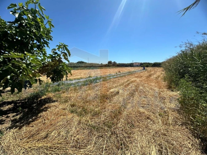 Terreno para Venda em Atouguia da Baleia Foto 17