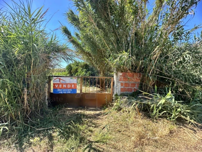 Terreno para Venda em Atouguia da Baleia Foto 1