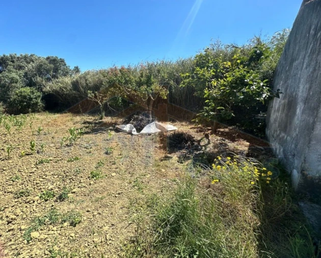 Terreno para Venda em Atouguia da Baleia Foto 14