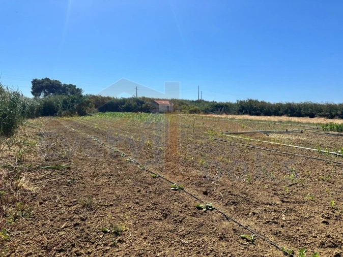 Terreno para Venda em Atouguia da Baleia Foto 3