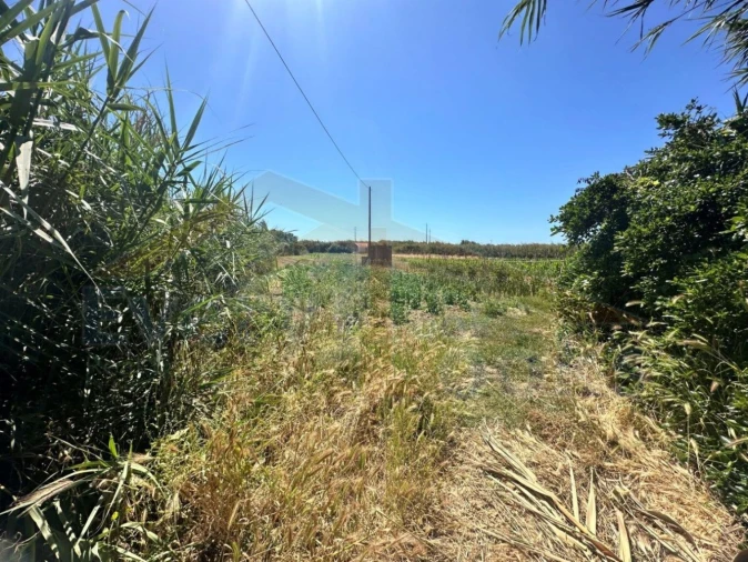 Terreno para Venda em Atouguia da Baleia Foto 22