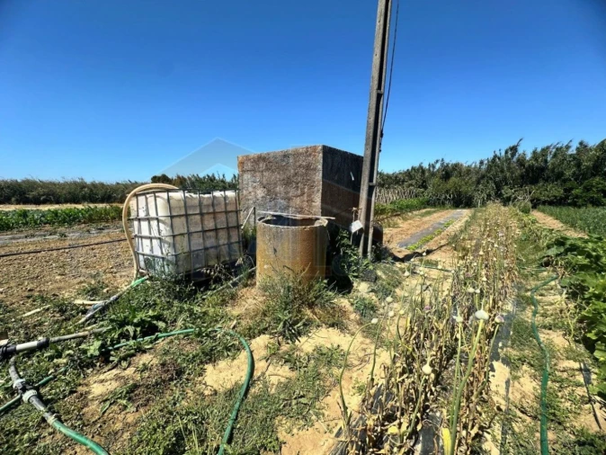Terreno para Venda em Atouguia da Baleia Foto 5