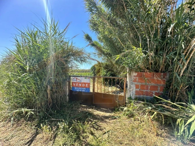 Terreno para Venda em Atouguia da Baleia Foto 23