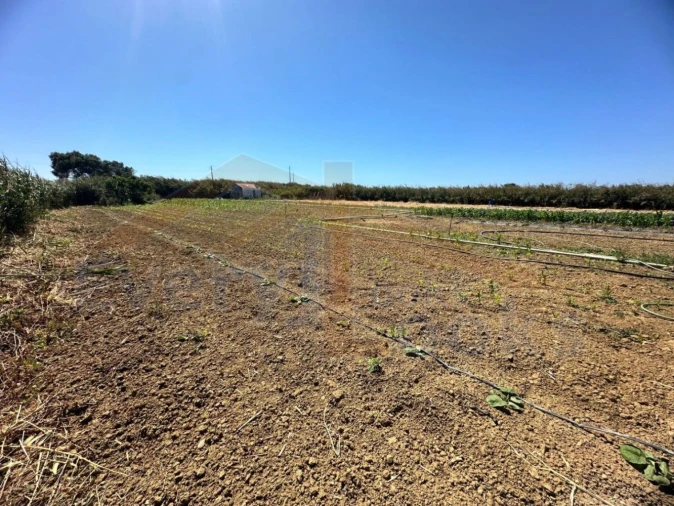 Terreno para Venda em Atouguia da Baleia Foto 2