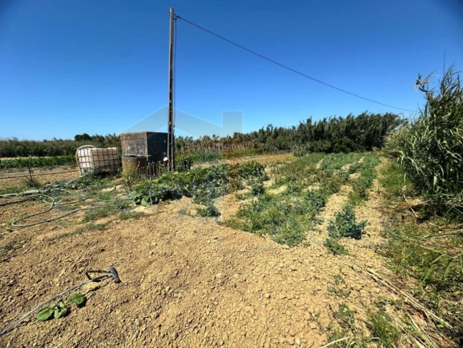 Terreno para Venda em Atouguia da Baleia Foto 4