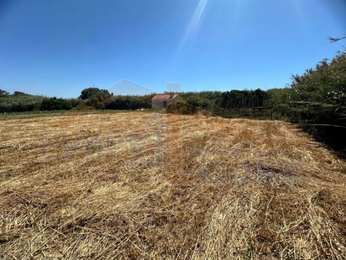 Terreno para Venda em Atouguia da Baleia Foto 16