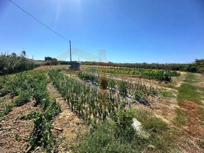 Terreno para Venda em Atouguia da Baleia Foto 20