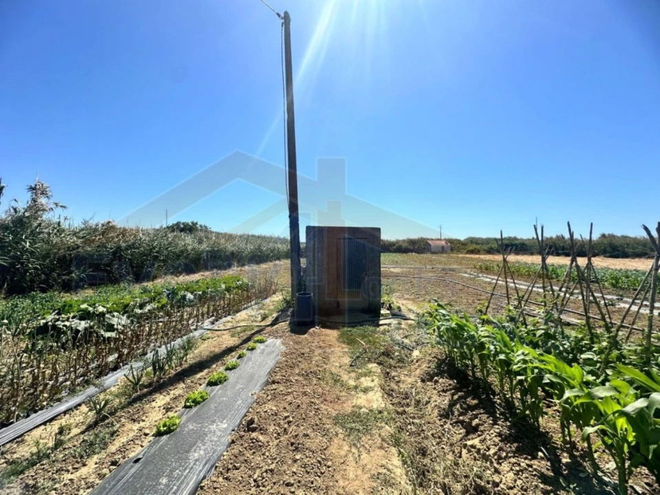 Terreno para Venda em Atouguia da Baleia Foto 7