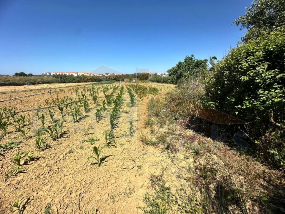 Terreno para Venda em Atouguia da Baleia Foto 8