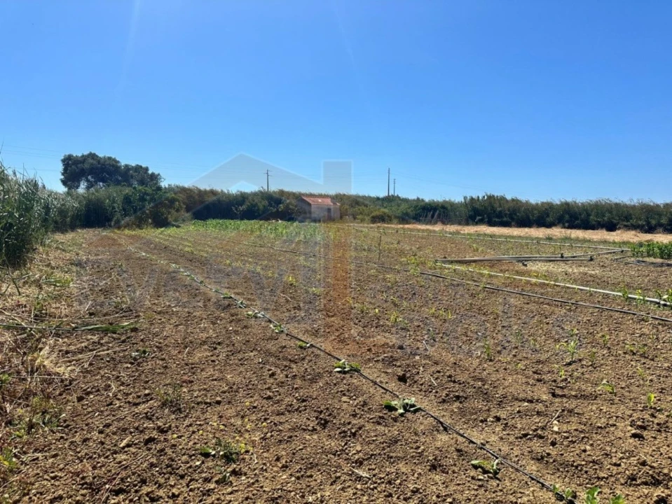 Terreno para Venda em Atouguia da Baleia Foto 2