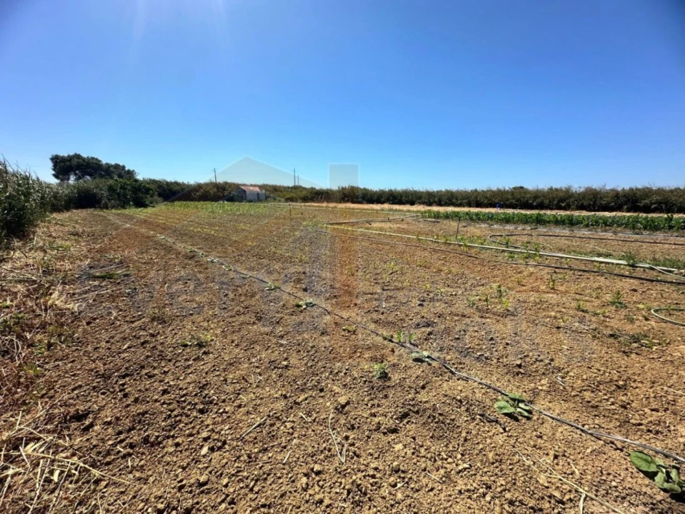 Terreno para Venda em Atouguia da Baleia Foto 4