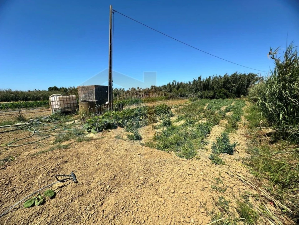 Terreno para Venda em Atouguia da Baleia Foto 5