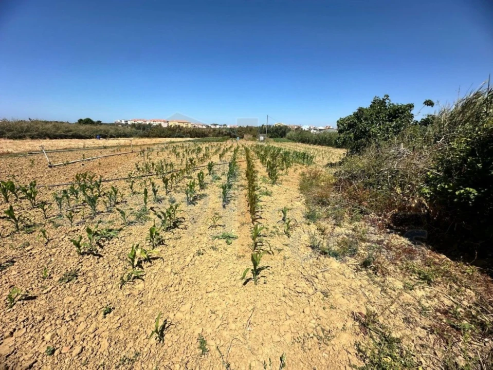 Terreno para Venda em Atouguia da Baleia Foto 14
