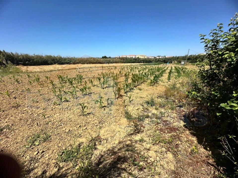 Terreno para Venda em Atouguia da Baleia Foto 12