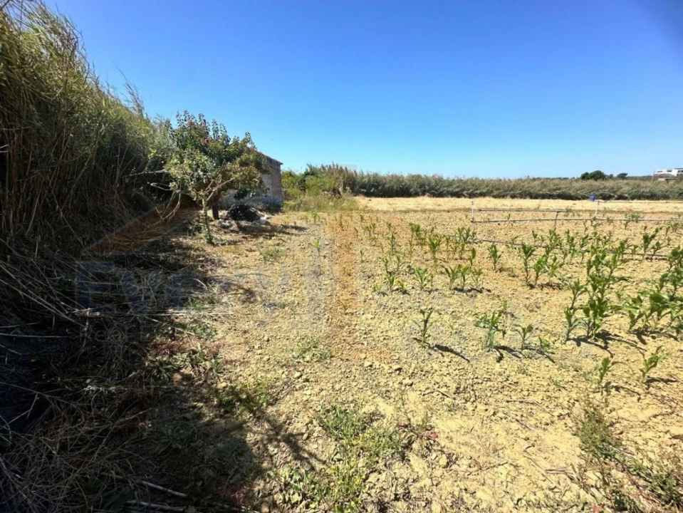 Terreno para Venda em Atouguia da Baleia Foto 11
