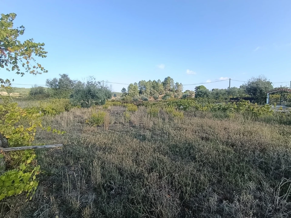 Armazém para Venda em Sardoal Foto 27