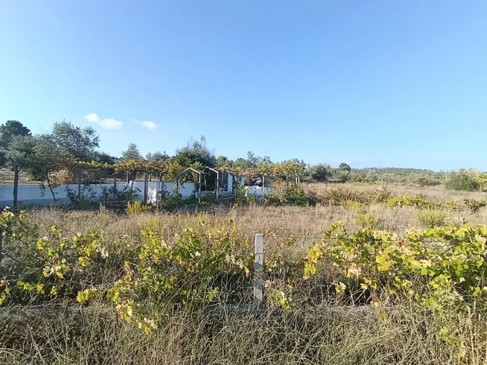 Armazém para Venda em Sardoal Foto 29