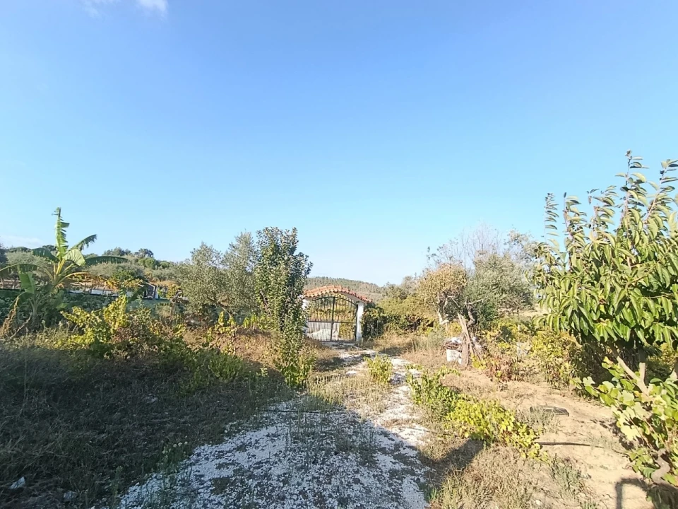 Armazém para Venda em Sardoal Foto 31