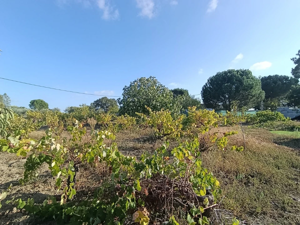 Armazém para Venda em Sardoal Foto 37