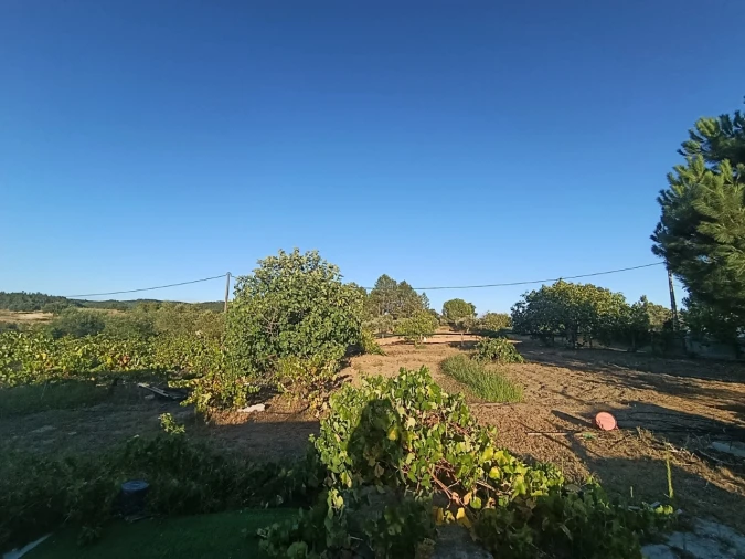 Armazém para Venda em Sardoal Foto 17