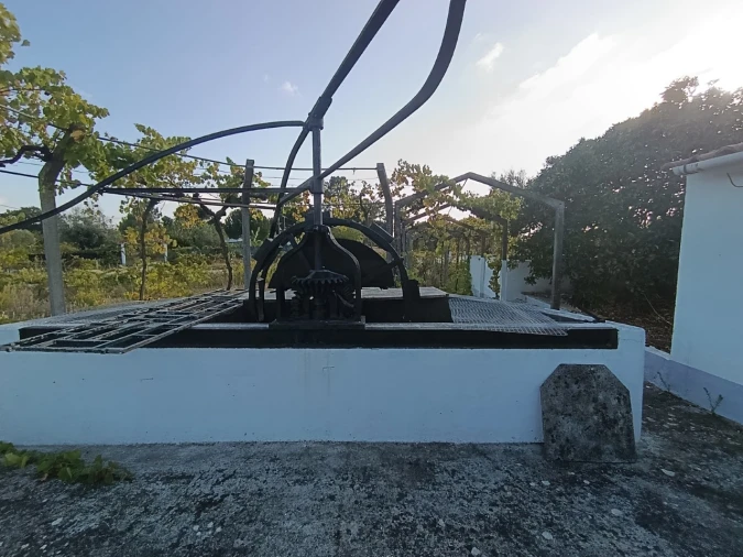 Armazém para Venda em Sardoal Foto 19