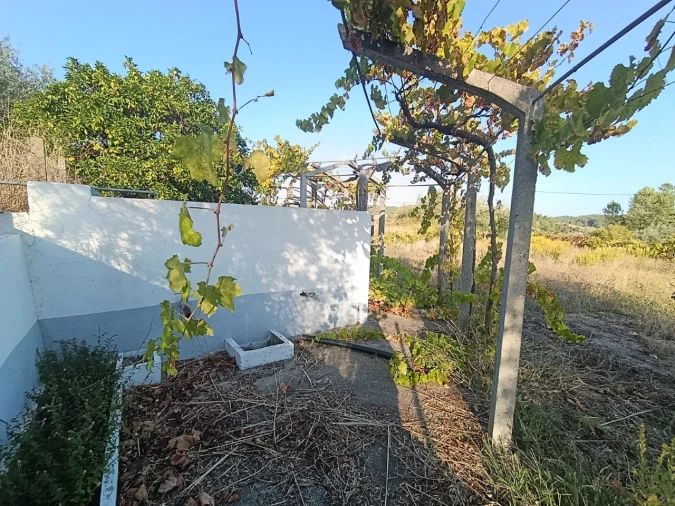 Armazém para Venda em Sardoal Foto 22