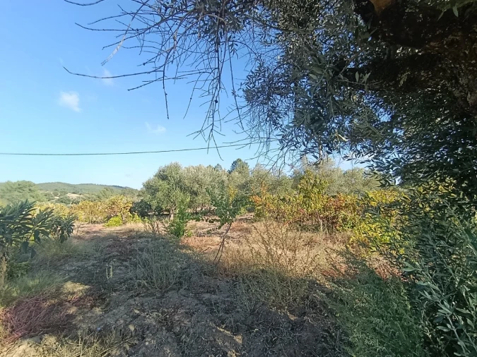 Armazém para Venda em Sardoal Foto 40