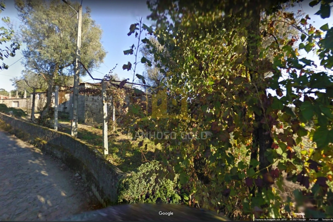 Quinta para Venda em Verim, Friande e Ajude Foto 6