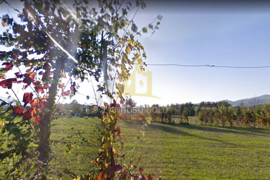 Quinta para Venda em Verim, Friande e Ajude Foto 7