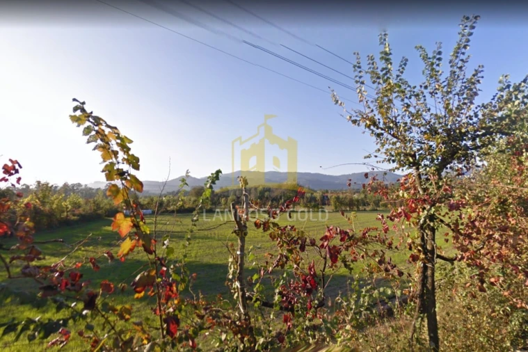 Quinta para Venda em Verim, Friande e Ajude Foto 3