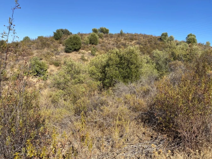 Terreno para Venda em Castro Marim Foto 12