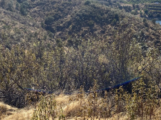 Terreno para Venda em Castro Marim Foto 14