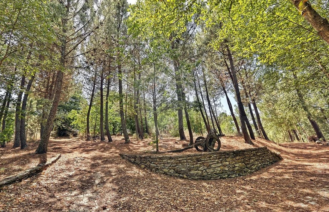 Moradia T5 para Venda em Lamego (Almacave e Sé) Foto 49