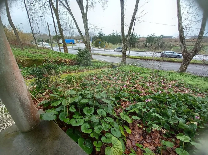 Moradia T5 para Venda em Tamengos, Aguim e Óis do Bairro Foto 9