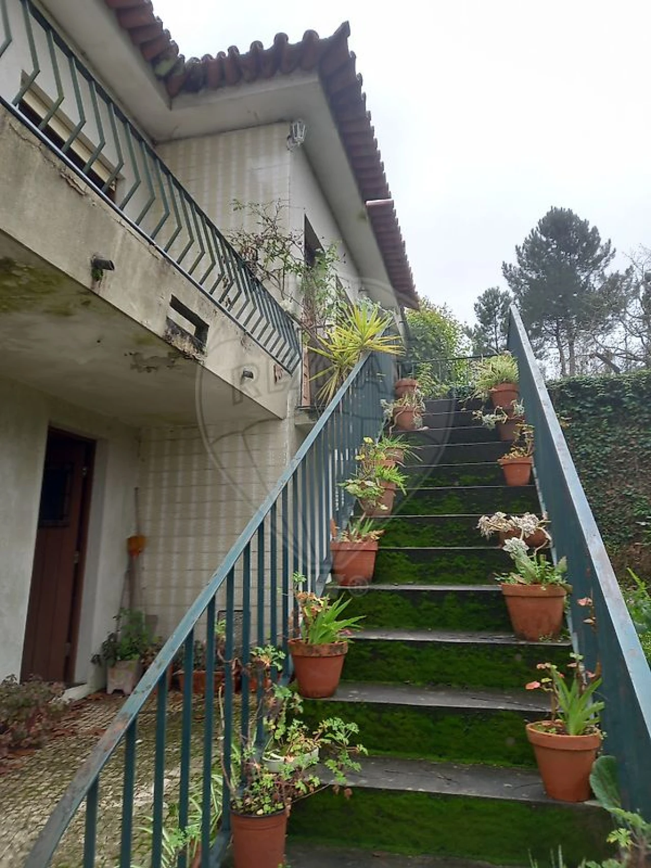 Moradia T5 para Venda em Tamengos, Aguim e Óis do Bairro Foto 6