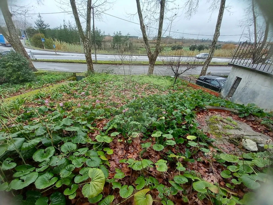 Moradia T5 para Venda em Tamengos, Aguim e Óis do Bairro Foto 8