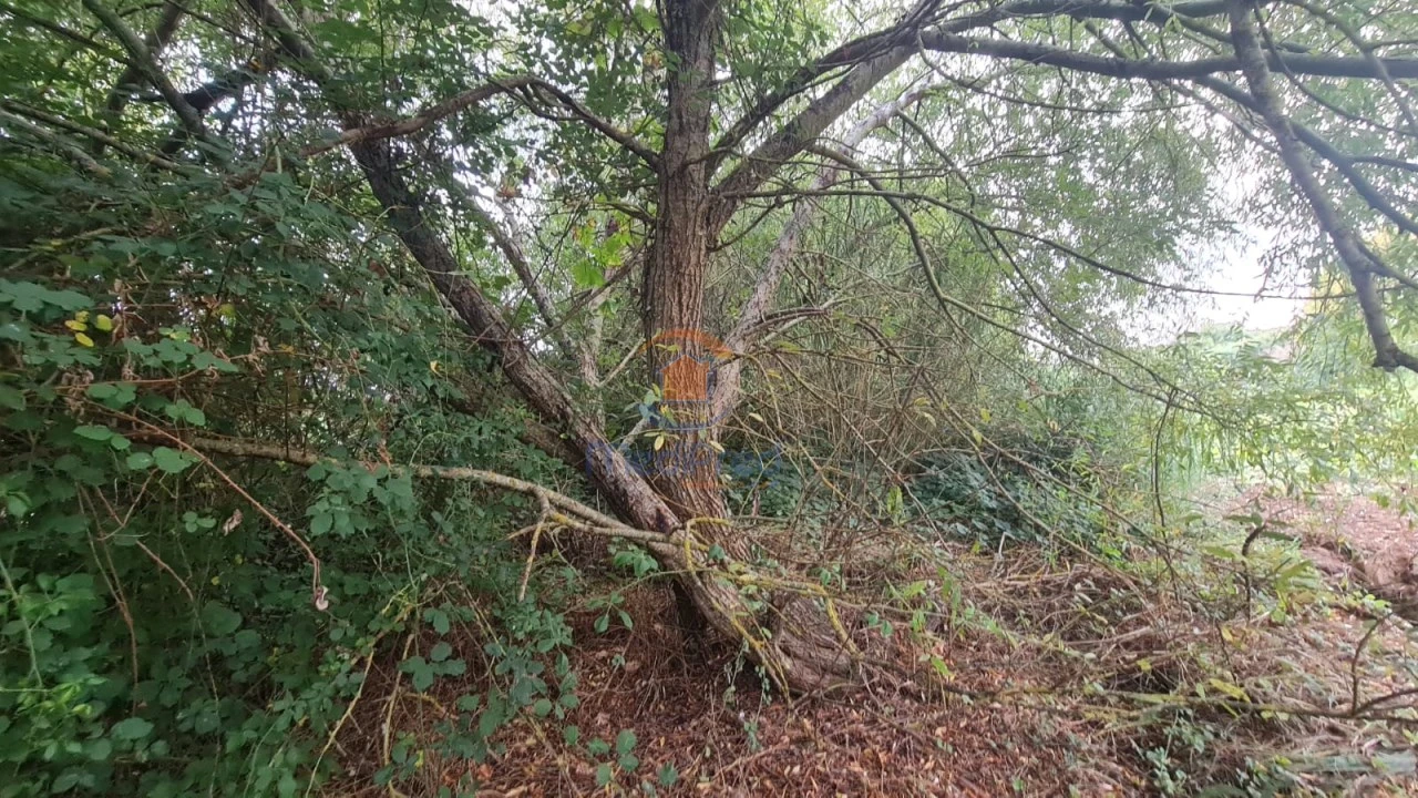 Terreno Agricola ou Rústico para Venda em A dos Cunhados e Maceira Foto 9