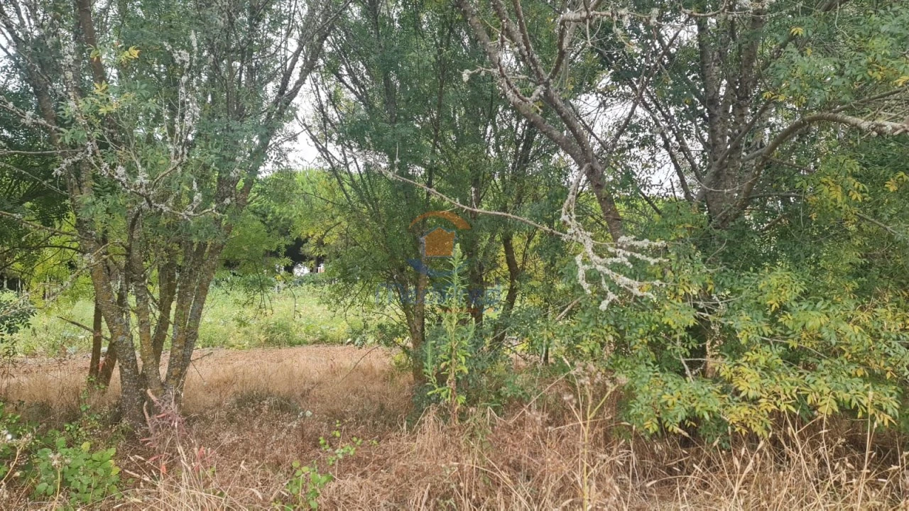 Terreno Agricola ou Rústico para Venda em A dos Cunhados e Maceira Foto 7