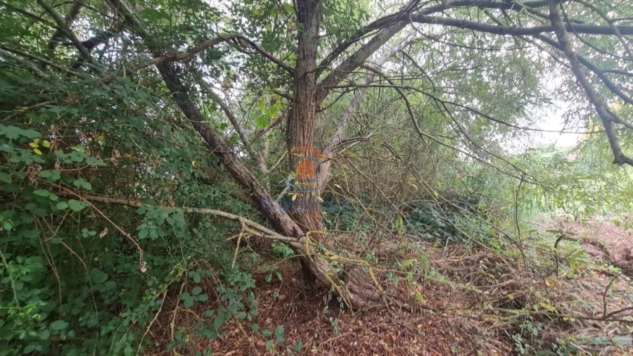 Terreno Agricola ou Rústico para Venda em A dos Cunhados e Maceira Foto 9