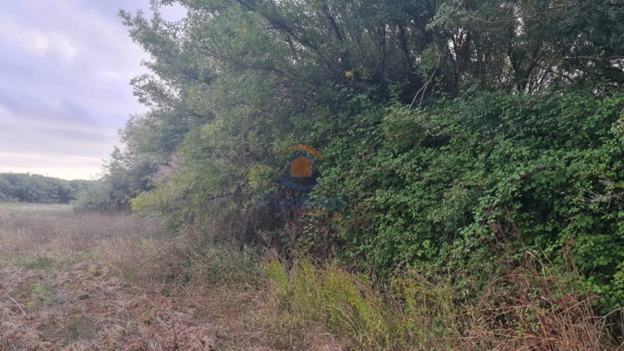 Terreno Agricola ou Rústico para Venda em A dos Cunhados e Maceira Foto 10