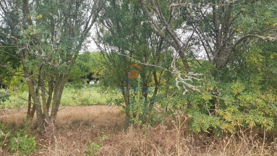 Terreno Agricola ou Rústico para Venda em A dos Cunhados e Maceira Foto 7