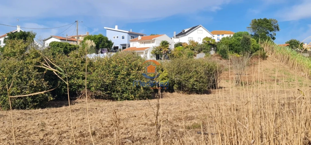 Terreno Agricola ou Rústico para Venda em A dos Cunhados e Maceira Foto 3