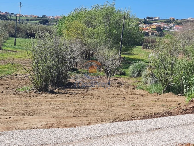 Terreno Agricola ou Rústico para Venda em A dos Cunhados e Maceira Foto 4