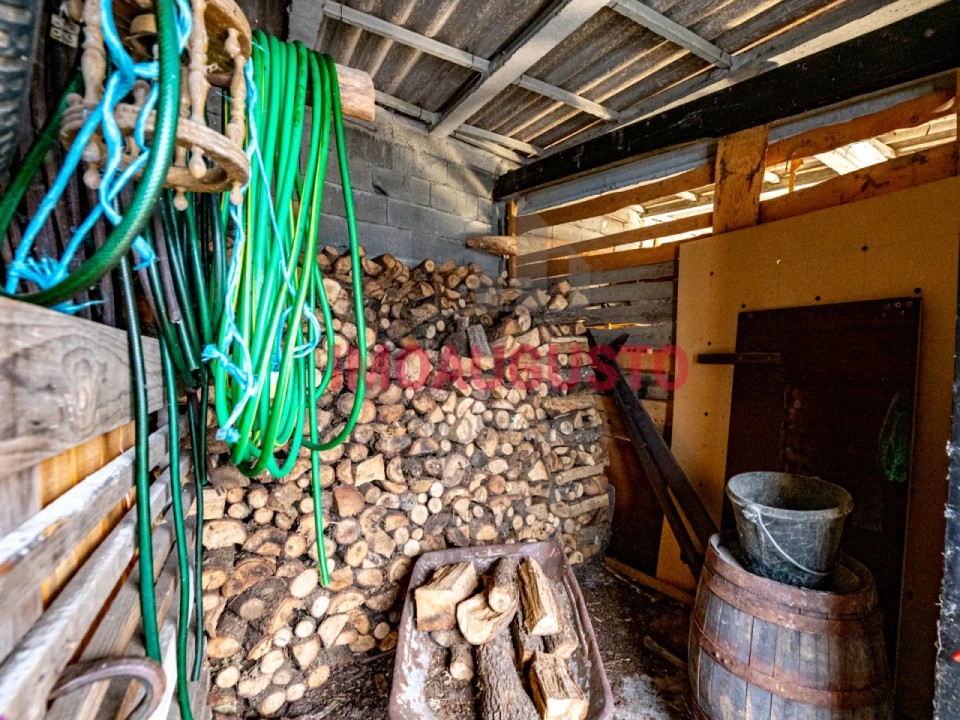 Moradia T4 para Venda em Lajeosa e Forcalhos Foto 31