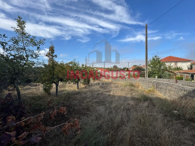 Moradia T4 para Venda em Lajeosa e Forcalhos Foto 25