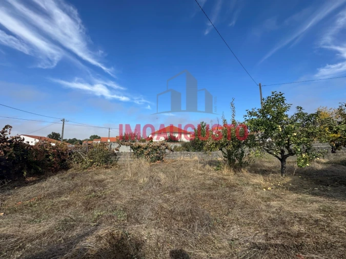 Moradia T4 para Venda em Lajeosa e Forcalhos Foto 27