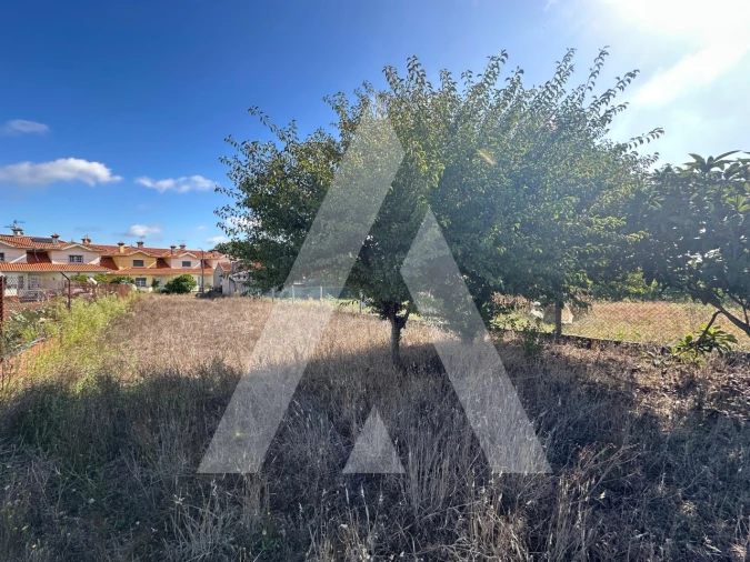 Terreno para Venda em Oiã Foto 5