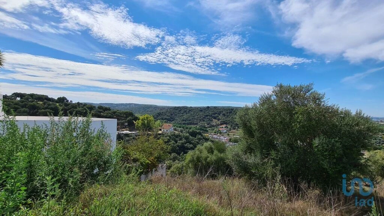 Terreno para Venda em Chamusca e Pinheiro Grande Foto 2