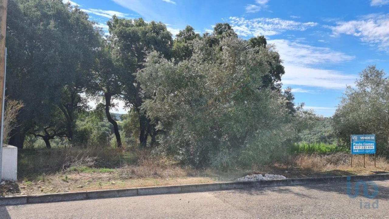 Terreno para Venda em Chamusca e Pinheiro Grande Foto 7